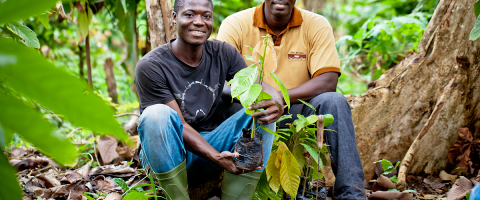 Responsible Sourcing