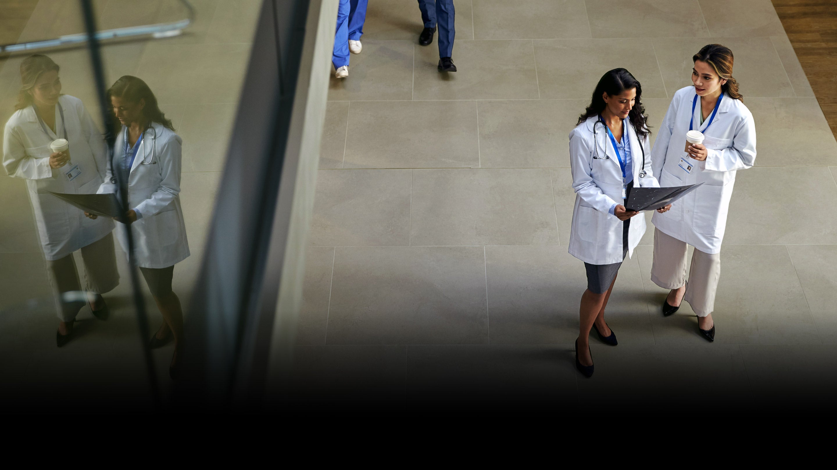 Two Doctors looking at the medical results.