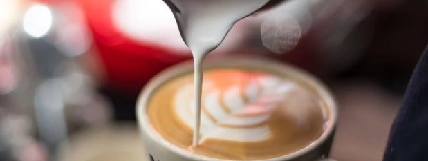 Making barista cup of coffee