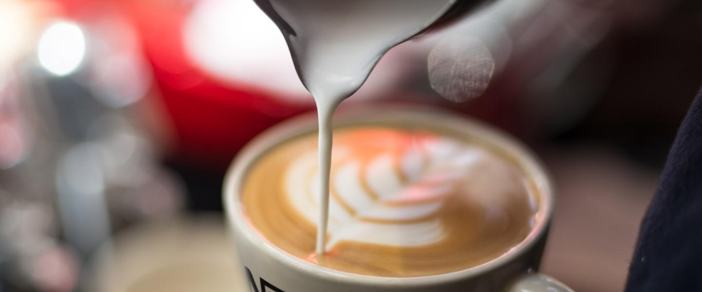 Discover our Dairy and Creamer Nestle Professional