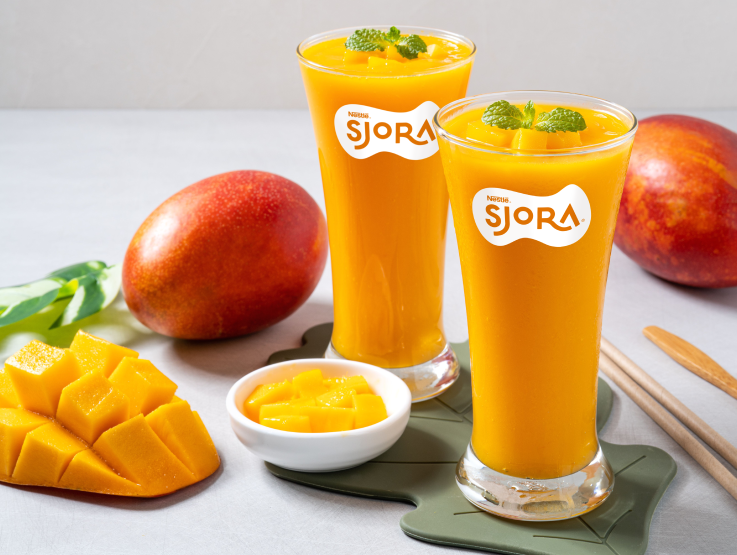 Group of friends drinking Sjora
