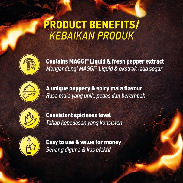 Maggi_Spicy_Seasoning_Product_Benefits